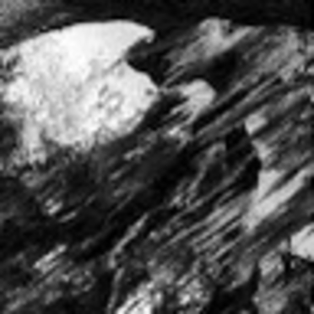 Meet your Posher, Les